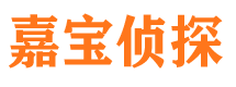 宁县调查公司